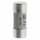 CYLINDRICAL FUSE 22 x 58 100A GG 500V AC Wkładka cylindryczna 22 x 58mm 100A GG 500V AC C22G100 EATO