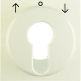 BERKER B.Kwadrat/S.w Płytka czołowa do łącznika żaluzjowego na klucz krem 15068982 HAGER