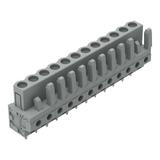 MCS-MIDI Classic gniazdo 12-bieg. szare raster 5 mm /25szt./ WAGO