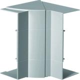 tehalit.BRP/BRAP Kąt wewnętrzny 65x170 lakierowanaier aluminium BRP651704HLAN HAGER