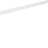 Pasek opisowy do FZ24Mx samoprzylepny VZ324BS HAGER