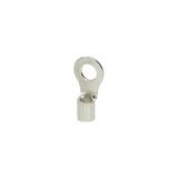 Końcówka oczkowa nieizolowana, 4mm2, M6, 100 szt