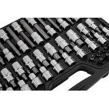 Zestaw bitów Torx, 49 szt.