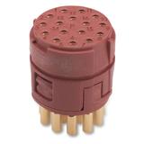 EPIC M23 16P BLM WKŁAD ŻEŃSKI 73002704 LAPP KABEL