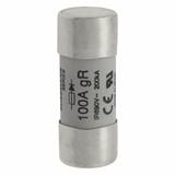 100A 690V AC gR 22X58mm FUSE W/O STRIKER Wkładka szybka 100A AC 690V 22x58 gR IEC UL FWP-100G22F EAT