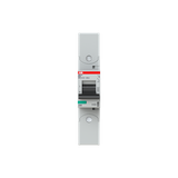 S801S-K40-R Wyłącznik nadprądowy 50kA 1P K40A 2CCS861002R0557 ABB