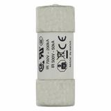 63A 690V 22X58 INDICATED 22 X 58MM 63A 700V 22X58 cylindryczna do półprzewodników wybijak 22 X 58MM