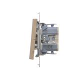 Simon 55 Przycisk zwierny podwójny zwierny bez piktogramu szybkozłączka Szampański mat