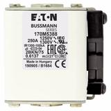 FUSE 250A 1250V 2BKN/75 AR CU Wkładka szybka 250A AC 1250V rozmiar 2 61x75x77 mm aR IEC UL 170M5388