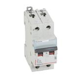 Wyłącznik Nadprądowy S 312 2P B10A 10000A DX3 408940 LEGRAND