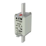 NH FUSE 250A 690V gG SIZE 1 Wkładka NH1 250A 690V GL/GG podwójny wskaźnik 250NHG1B-690 EATON