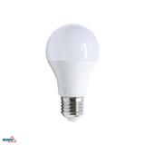 ŹRÓDŁO LED SAMSUNG INSIDE 230V E27 A60 11W 1090LM 4000K 220ST