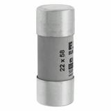 CYLINDRICAL FUSE 22 x 58 63A GG 690V AC Wkładka cylindryczna 22 x 58mm 63A GG 690V AC C22G63 EATON
