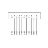moduł przejściowy ETHERNET Y-ConJack-22 WAGO