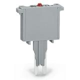 wtyk bezpiecznikowy 1 A FF