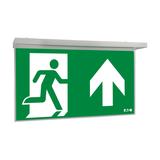 NexiTech LED opal szyba strzałka do góry / strzałka do góry 30m ISO7010 NEXI-PLEXO-UU EATON