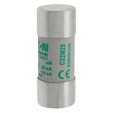 CYLINDRICAL FUSE 22 x 58 25A AM 690V AC Wkładka cylindryczna 22 x 58mm 25A AM 690V AC C22M25 EATON