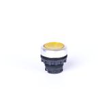 Ex9P1 FI y Główka z przyciskiem płaskim z samopowrotem bez nadruku możliwość podświetlenia żółta