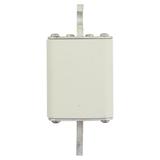 500A 1250V 2/110 aR INDICATOR FUSE Wkładka szybka 500A AC 1250V rozmiar 2 61x75x138 mm aR D 170M5144