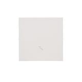 Simon 55 Klawisz pojedynczy z piktogramem /schody/ do: SW6M Biały mat