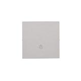 Simon 55 Klawisz pojedynczy z piktogramem /światło/ do: SP1M Aluminium mat