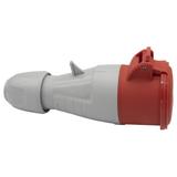 P17 TEMPRA PRO GNIAZDO PRZENOŚNE 32A 3P+N+Z 400V IP44, Legrand