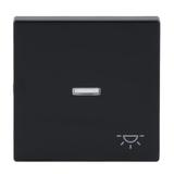 CARAT/FUTURE  Klawisz z symbolem „światło” Do przycisku zwiernego antracyt