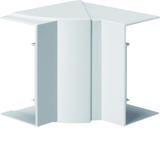 tehalit.BRN65/ BR65 Kąt wewnętrzny 65x130 biały BR651304H9016 HAGER