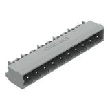 MCS-MIDI Classic wtyk 10-bieg. szary raster 5 mm /100szt./ WAGO