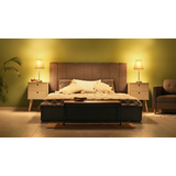 Żarówka LED ściemnialna Kulka 3,4W=40W 470lm / 2700K barwa ciepła VLE LEDLusterD3,4-40W E27 P45 927