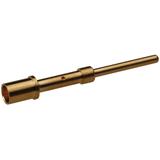 LS1.5 A SCEM 3,6MM AU 4-6 (10) 44429337 LAPP KABEL