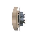 Simon 54 Gniazdo podwójne z/u z przesłonami 16A z. śrub. kremowy