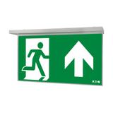 NexiTech LED opal szyba strzałka do góry / zaślepka 30m ISO7010 NEXI-PLEXO-UB EATON