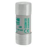 CYLINDRICAL FUSE 22 x 58 125A AM 400V AC Wkładka cylindryczna 22 x 58mm 125A AM 400V AC C22M125 EATO