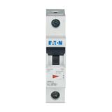 FAZ-B16/1 Wyłącznik nadprądowy 15kA B16A 1P 278535 EATON