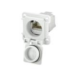 IE-XM-RJ45/RJ45-IP67 Złącze wtykowe sieciowe modułowe WEIDMULLER