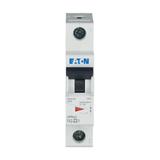 FAZ-Z2/1 Wyłącznik nadprądowy 10kA Z2A 1P 278620 EATON