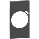 Living Now - Plakietka Gniazda 2P+Z + Usb - 2 Moduły - Czerń Bticino KG62 LEGRAND
