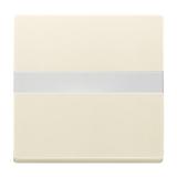 CARAT/FUTURE/SOLO Klawisz z polem opisowym Z pryzmatem do równomiernego podświetlenia opisu kość sło