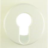 BERKER B.Kwadrat/S.1 Płytka czołowa do łącznika na klucz krem 15078982 HAGER