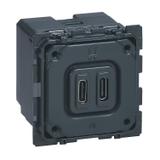 CELIANE - Gniazdo zasilające 2 x USB 5 V - 2400 mA Typ-C, Legrand