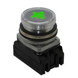 Wsk.uziem. NEF30WU 24V-230V zielony