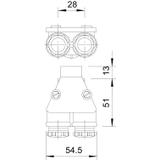 113, DŁAWIKI BLIŹNIACZE 113/13.5