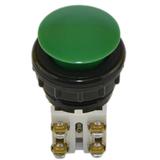 Przycisk N2-1DP zielony