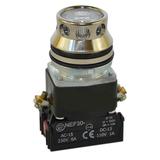 Przycisk NEF30-KLY/130V bezbarwny W0-NEF30-KL Y/110V B PROMET