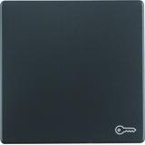 BERKER Q.x Klawisz z nadrukowany symbol klucz do łącznika 1-klawiszowego antracyt aksamit 16206066 H