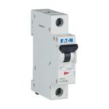 FAZ-K16/1 Wyłącznik nadprądowy 10kA K16A 1P 278599 EATON