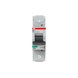 S801N-D8 Wyłącznika nadprądowy 36kA 1P D8A 2CCS891001R0081 ABB