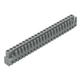 MCS-MIDI Classic gniazdo 23-bieg. szare raster 5 mm /10szt./ WAGO