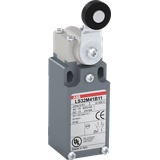 Wyłącznik krańcowy LS31M41B11